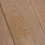 chene_grande_largeur2